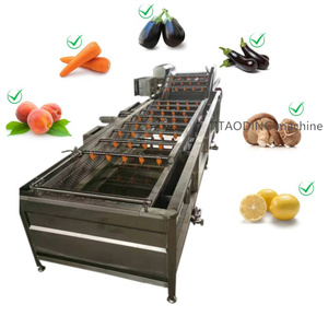 Harga pabrik mesin pembersih kentang pencuci kentang sayuran Manual dan buah mesin cuci gelembung sabuk konveyor sayuran - Product Image 4