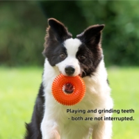 Jouet d'entraînement interactif pour chien, durable et résistant aux morsures, qui nettoie les dents et est portable avec une corde attachée