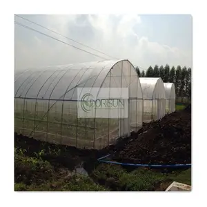 Cheap Vegetables Growing Hot Galvanized Steel Arch Pipe PE Film Hoop House Single Span Agricultural Greenhouse Tunnel