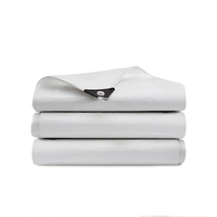 Bâche PE blanche légère, imperméable, résistante aux déchirures et au vent, pour la récolte des olives et le camping – Prix usine