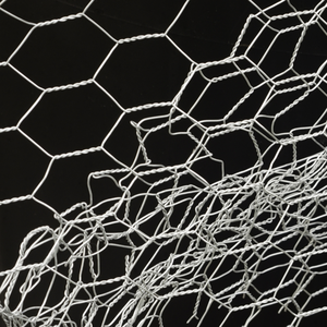 सौर पैनल सुरक्षा के लिए जस्ती हेक्सागोनल आयरन वायर मेष सौर पैनल सुरक्षा के लिए जस्ती हेक्सागोनल आयरन वायर जाल, ट्रेलिस - Product Image 5