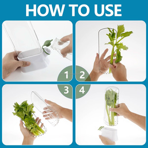 Boîte de conservation des herbes fraîches transparente pour la cuisine, boîte de conservation à la vanille, récipient de stockage des herbes en plastique pour réfrigérateur - Product Image 6