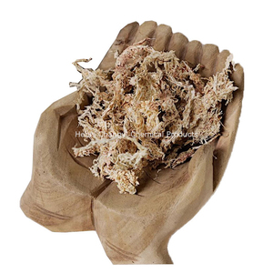 Nueva Zelanda Sphagnum Moss Live Fresh para plantas carnívoras - Product Image 2