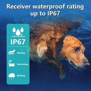 El mejor collar de entrenamiento remoto para perros Top <span class=keywords><strong>E</strong></span>-Collars Halo Multi-Dog Options y collares de entrenamiento aprobados por <span class=keywords><strong>Cesar</strong></span> Millan con control remoto - Product Image 3