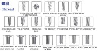 China Manufacturer Factory's High Quality Versatile Metric/Inch Oval Stainless Steel Hex Cross Slot Torx Screws Custom Fasteners