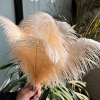 Plume d'autruche en gros 35-40cm plume ordinaire bricolage Arrangement de fleurs de mariage décoration accessoires de Performance plume blanche