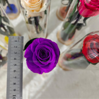 Rose Éternelle en Gros : Rose Stabilisée Naturelle Unique avec Tige dans un Dôme en Verre