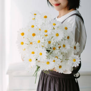 Vente en gros de décoration florale réaliste Bellis Perennis Daisy Chrysanthème Galsang pour la fête des mères - Product Image 2