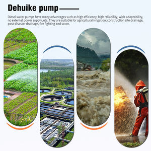 ปั๊มน้ำดีเซลสำหรับงานหนัก DEHUIKE ขนาด 6 8 10 12 นิ้ว แรงดันสูง 1.2mpa สำหรับล้างทองคำ - Product Image 5