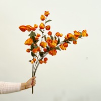 Kunstbloemen, Lantaarnvruchten, Zure bessen, Modelkamers Woondecoratie, Bruidsfotografie, Scène-arrangement