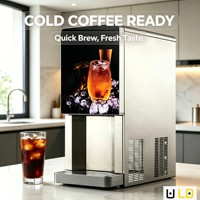 Distributeur automatique de glace de qualité supérieure en acier inoxydable de qualité alimentaire pour usage commercial, installation sur comptoir