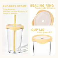 Gobelet en plastique Tritan transparent de 500 ml, tasse réutilisable avec paille pour le bureau, la maison, l'usage quotidien, impression personnalisée
