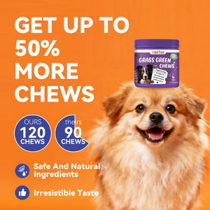 OEM morbido Chewable erba verde cane urina neutralizzatore <span class=keywords><strong>per</strong></span> animali domestici cura della salute e integratori <span class=keywords><strong>per</strong></span> cani e <span class=keywords><strong>gatti</strong></span> protezione punto ustioni - Product Image 5