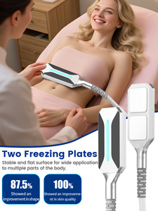 Máquina de tonificación y adelgazamiento criogénico EMS 2 en 1 con material ABS para reducción de celulitis y estiramiento de la piel, clínica de belleza y uso doméstico - Product Image 3