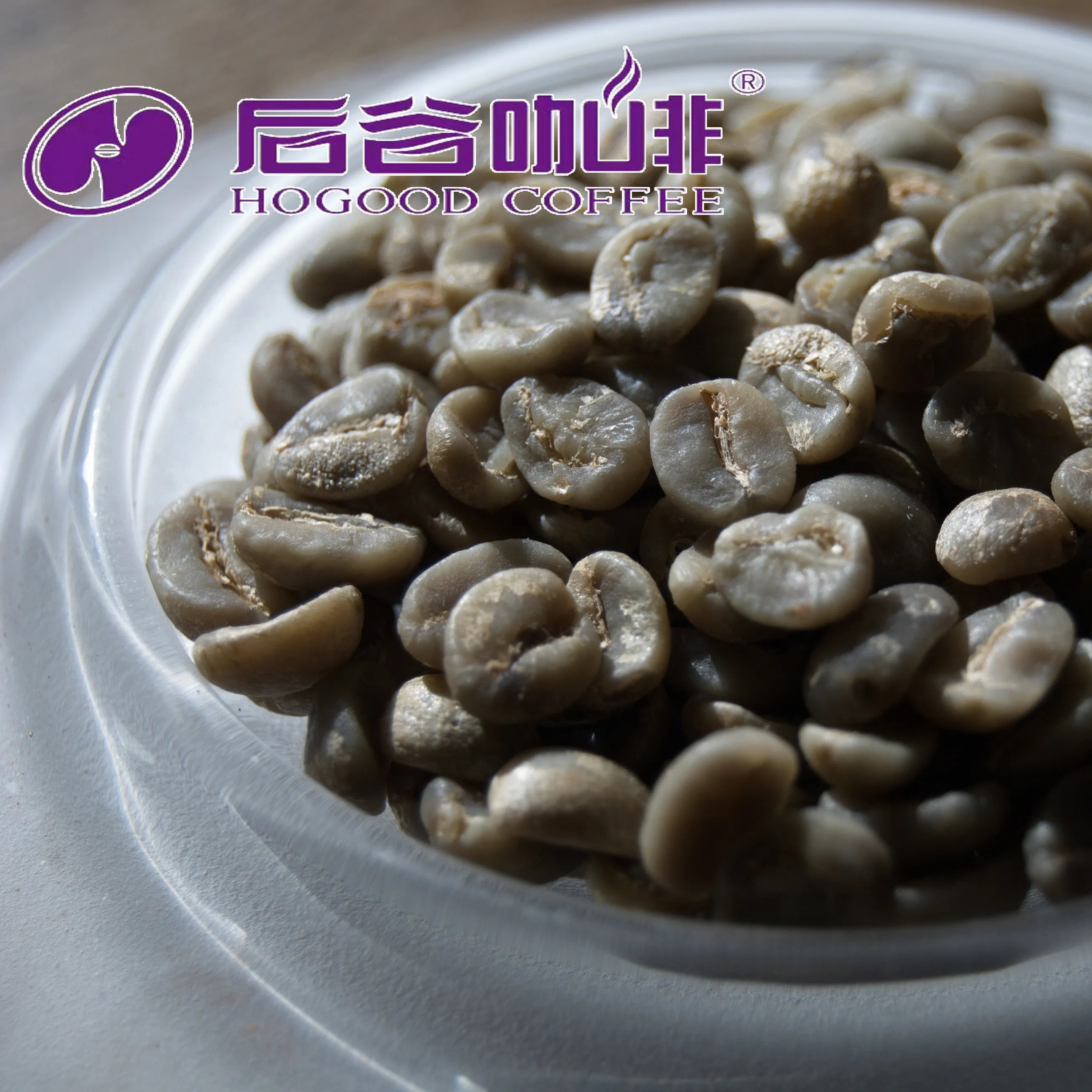 Hogood Cheap Price Yunnan Robusta And Arabica Coffee Bean Wholesale