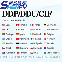 Service d'expédition maritime international porte-à-porte EXW CIF DDU DAP LCL/FCL de Shenzhen vers Dubaï, États-Unis, Royaume-Uni