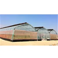 Reasonable Price Tall Agriculture Commercial Farming Greenhouse