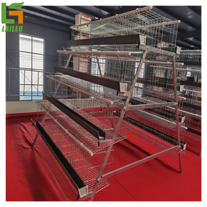 Set completi di gabbie per animali con batteria per pollame - Product Image 3