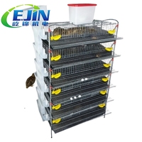 Cages d'élevage de cailles en acier inoxydable de type H, écologiques pour une gestion et une productivité agricoles efficaces
