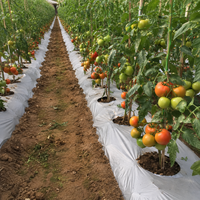 Film de paillage noir et blanc multi-usages de 25 microns, résistant aux intempéries, pour la culture de légumes en grandes exploitations agricoles et la croissance des cultures