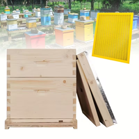 Matériel d'apiculture multi-types et multi-niveaux, ruches en bois avec cadres, ruche en bois enduite de cire