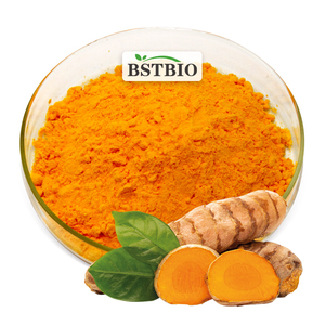 BSTBIO CAS 458-37-7 zerdeçal kök ekstresi <span class=keywords><strong>95</strong></span>% kurkumin tozu - Product Image 3