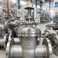 Vanne à opercule en acier inoxydable 6"/8"/10"/12"/14" DN150/DN200/DN250/DN300/DN350 316L/304/CF8M/CF3M/2205/2507 Classe 150 RF