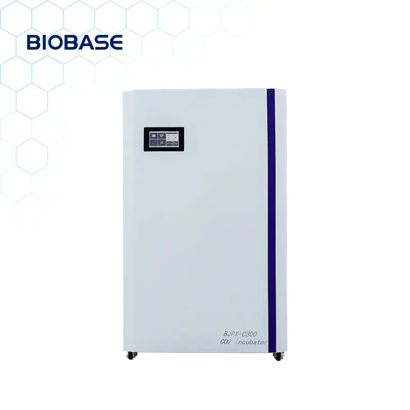 BIOBASE China CO2 Incubator BJPX-C100M with High quality infrared sensor CO2 Incubator for lab on sale