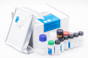 (Não Medicina) Salbutamol <span class=keywords><strong>ELISA</strong></span> <span class=keywords><strong>Kit</strong></span> para Testar Tecidos Indústria Segurança Alimentar - Product Image 2