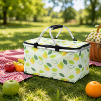 Nouveau panier de pique-nique pliable grande capacité, sac isotherme multifonctionnel en PE, sac de rangement portable pour l'extérieur, toutes saisons