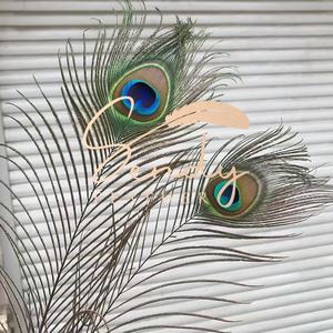 90-100cm natürliche Pfauenfeder Schwanz indische Federn Karneval Zubehör Handwerk Feder Kostüm Tanz Festival Bühnen performance - Product Image 2