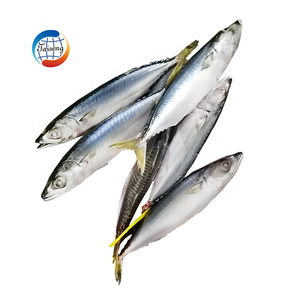 <span class=keywords><strong>Maquereau</strong></span> du Pacifique surgelé, poisson de mer durable, Scomber Japonicus, pêche fraîche directe de Chine, vente en gros - Product Image 2