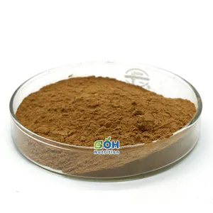 GOH Supply Top Quality 10:1 Gynostemma Pentaphyllum Extract Powder