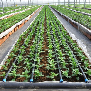 Ruban goutte à goutte en plastique d'irrigation personnalisé en usine tuyau goutte à goutte de 16mm pour l'<span class=keywords><strong>arrosage</strong></span> agriculture système d'irrigation goutte à goutte <span class=keywords><strong>automatique</strong></span> - Product Image 3