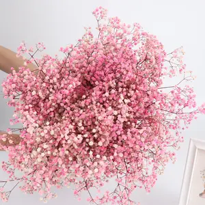 Vân Nam DIY bảo quản Babys hơi thở hoa Gypsophila hoa khô Babys hơi thở cho trang trí đám cưới