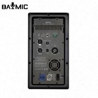 Module d'amplificateur de haut-parleur actif professionnel 1000W en métal de classe D pour subwoofer de 18 pouces
