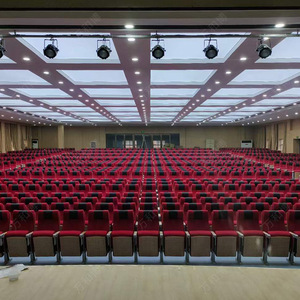 Asientos de Teatro Manwa Expo HB607 con Estructura de Madera de Haya Roja y Pasamanos para Hospitales, Escuelas y Salas de Conferencias - Product Image 5