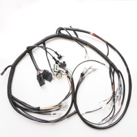 Câble personnalisé OEM JST, faisceau de câbles, connecteur PH2.0, indice de protection IP66, nylon, automobile, électronique, moto, ordinateur, machine