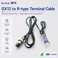 Câble de raccordement industriel GX12 Aviation Plug vers borne à joint torique de type R, connecteur aviation à verrouillage par vis, faisceau de câbles OEM ODM, usine