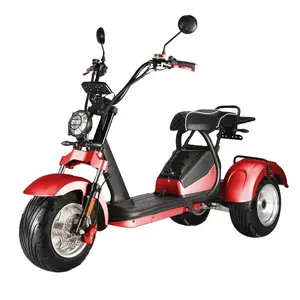 Đôi 2000 Wát 60V động cơ 3-bánh điện Trike EEC đu Scooter chất lượng tốt nhất cho bán