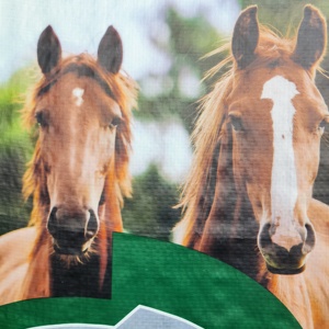 20kg pp Sac de valve tissé 20 kilos Sac d'alimentation pour l'alimentation des animaux équins Philippines - Product Image 2