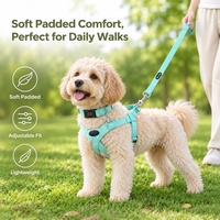 Harnais, collier et laisse rembourrés en nylon confortables pour animaux de compagnie, adaptés aux chiens de petite et moyenne taille, pour les aventures en plein air