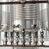 Cuve de fermentation à vin et bière en acier inoxydable 4000L 5000L avec enveloppe alvéolée, cuve de maturisation, pour brasserie, avec roulement de pompe, pour hôtels