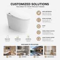 Toilette intelligente non électrique en céramique avec bidet intégré, chasse d'eau manuelle, toilette monobloc
