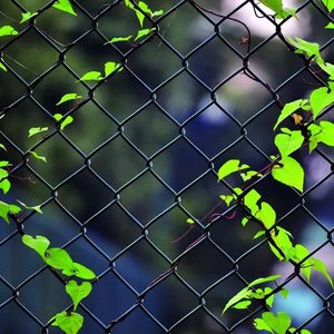 Wholesale <b>Garden</b> <b>Fence</b> <b>Wire</b> Chain Link <b>Fence</b> Privacy Diamond Mesh <b>Wire</b> <b>Fence</b> Black Green PVC Coated Yard <b>Fence</b> - Product Image 5