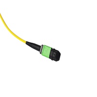 Kabel Patch Fiber Optik MPO ke MPO Densitas Tinggi 2.0mm LSZH 8F 12F 24F OS2 OM3 OM4 OM5 UPC APC Polaritas Male Female A/B/C