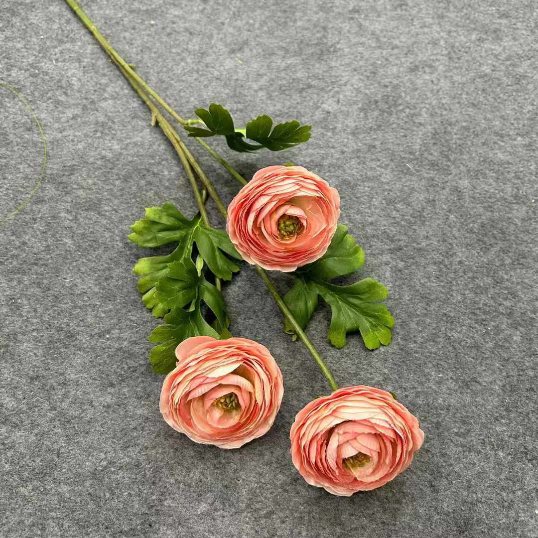 Ranunculus 3