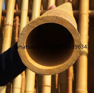 Vente en gros d'usine de matériaux bruts en <span class=keywords><strong>bambou</strong></span> <span class=keywords><strong>Moso</strong></span>, <span class=keywords><strong>bambou</strong></span> massif pour la décoration et la construction - Product Image 5