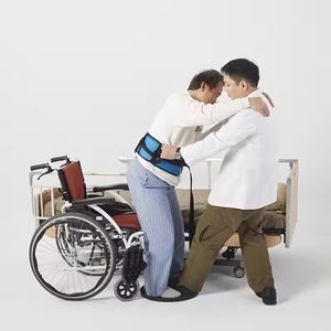 Tocadiscos Pivot Transfer - Product Image 2