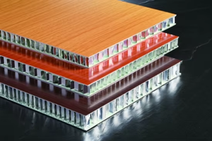 Nouveau matériau en nid d'abeille panneaux de porte en aluminium Panneaux de porte décoratifs en aluminium pour immeuble de bureaux - Product Image 4